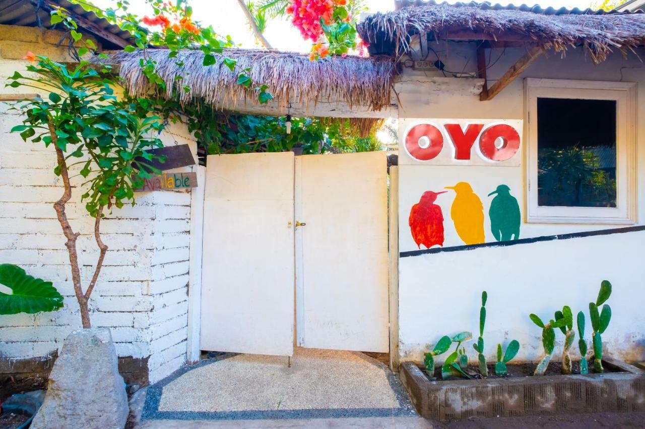 מלון גילי טרוונגן Oyo 1373 Chili Gili מראה חיצוני תמונה